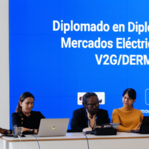 Diplomado en Mercados Eléctricos para V2G/DERMs