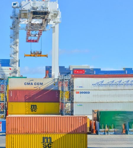 pexels-frans-van-heerden-2881632